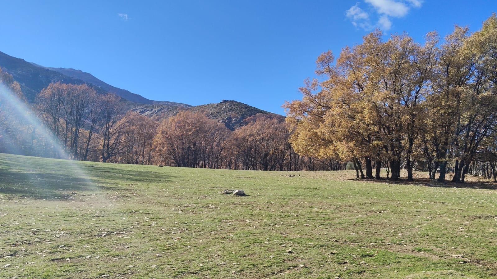 Praderas y rutas de senderismo en Navaluenga